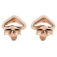 "Present" earrings