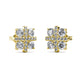 "Present" earrings