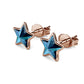 "Present" earrings