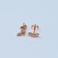 "Present" earrings