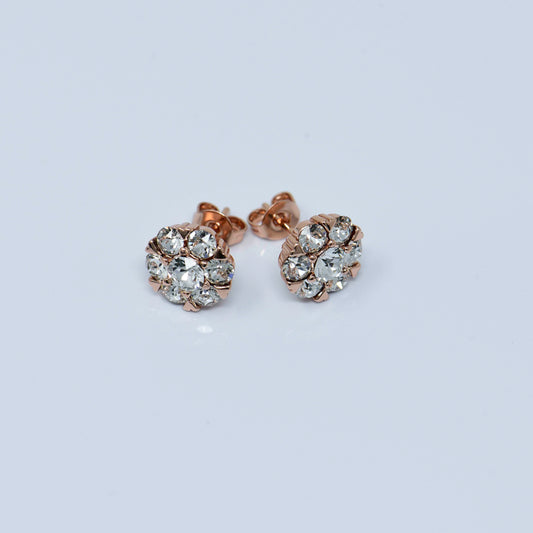 "Present" earrings